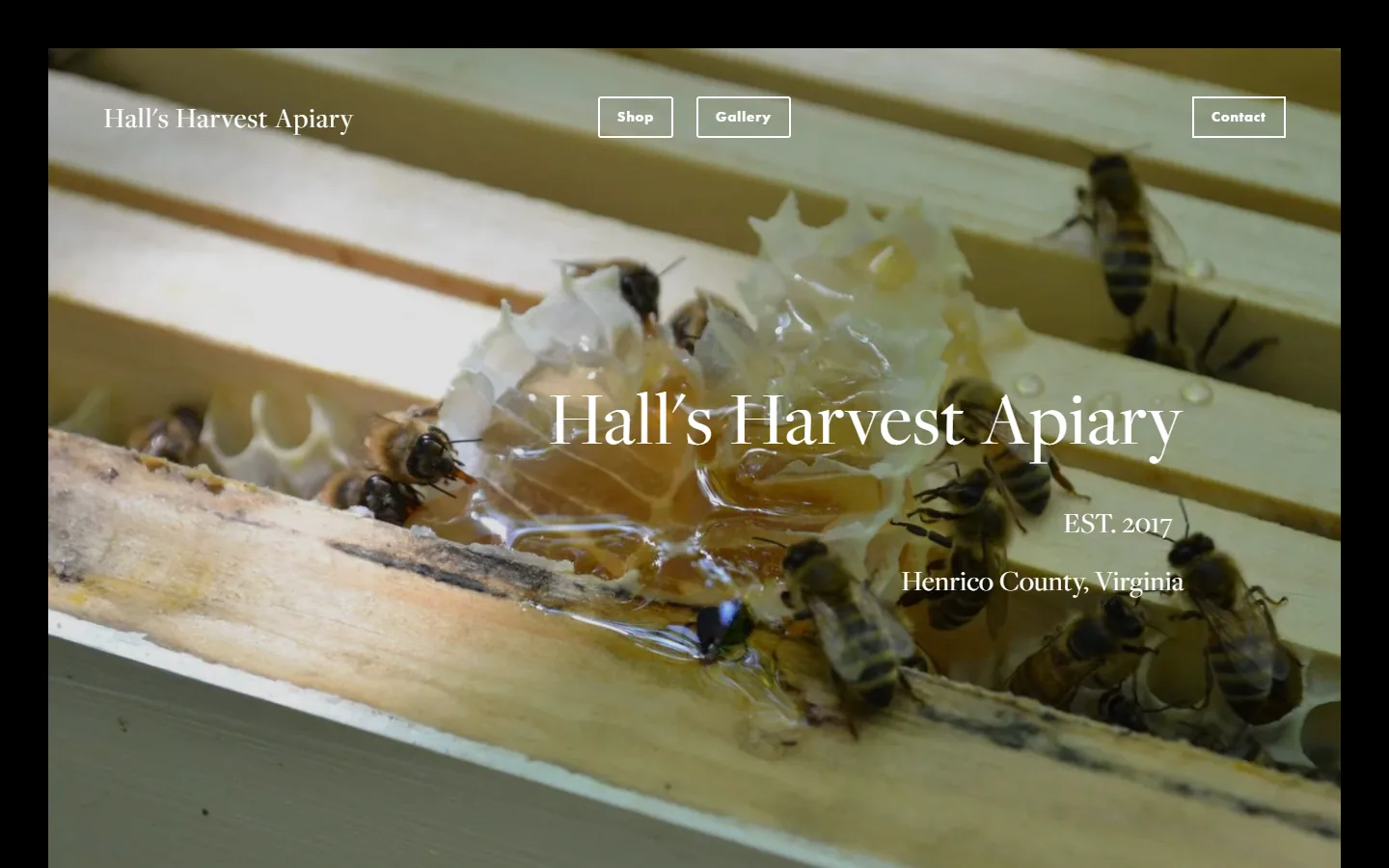 Hall's Harvest Apiary — before